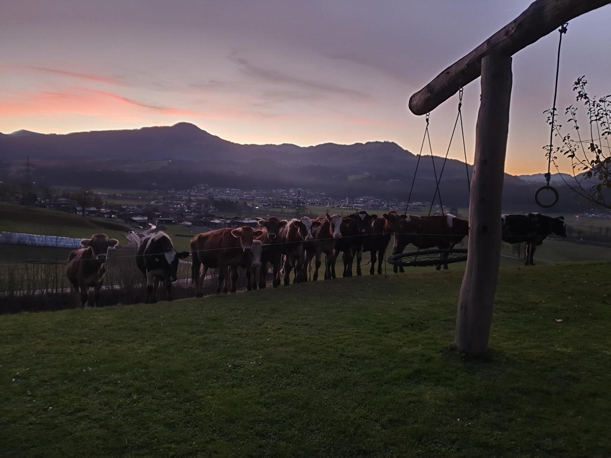 Griesbachhof-Wilder Kaiser โอแบร์นดอร์ฟ อิน ทิโรล ภายนอก รูปภาพ